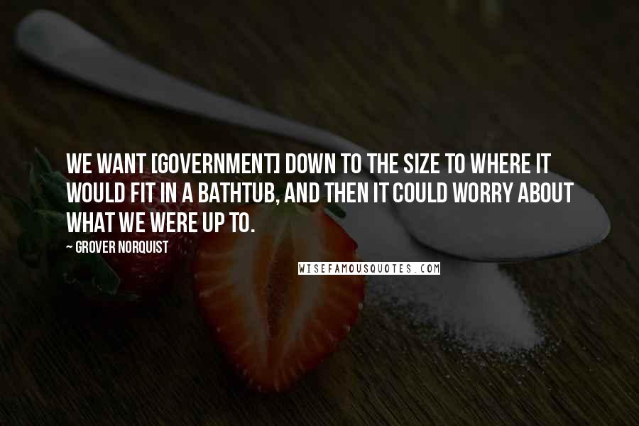 Grover Norquist Quotes: We want [government] down to the size to where it would fit in a bathtub, and then it could worry about what we were up to.