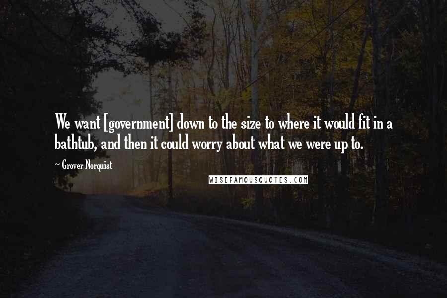 Grover Norquist Quotes: We want [government] down to the size to where it would fit in a bathtub, and then it could worry about what we were up to.