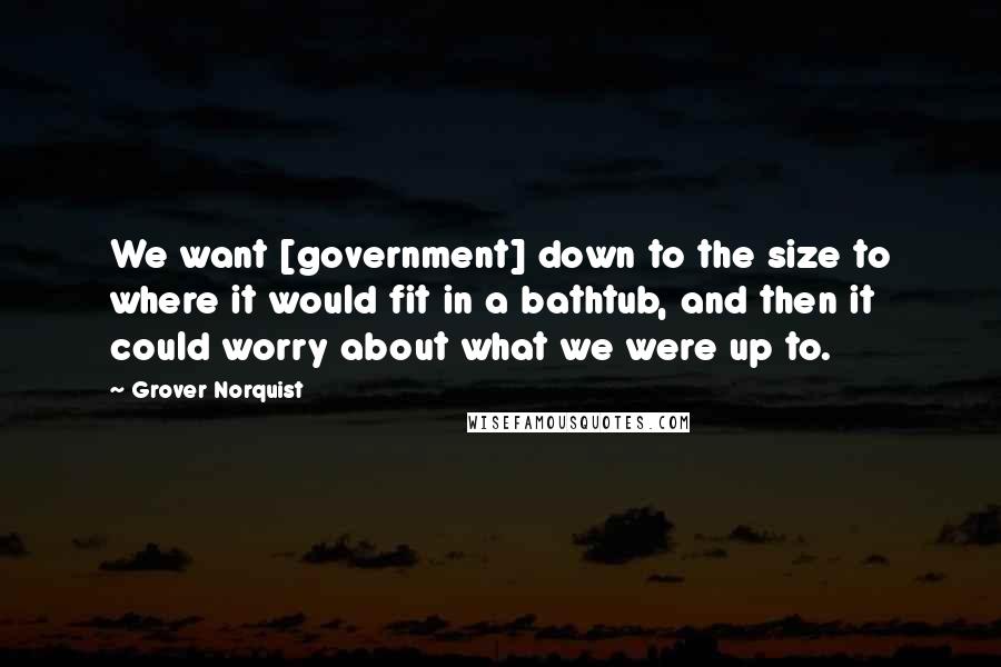 Grover Norquist Quotes: We want [government] down to the size to where it would fit in a bathtub, and then it could worry about what we were up to.