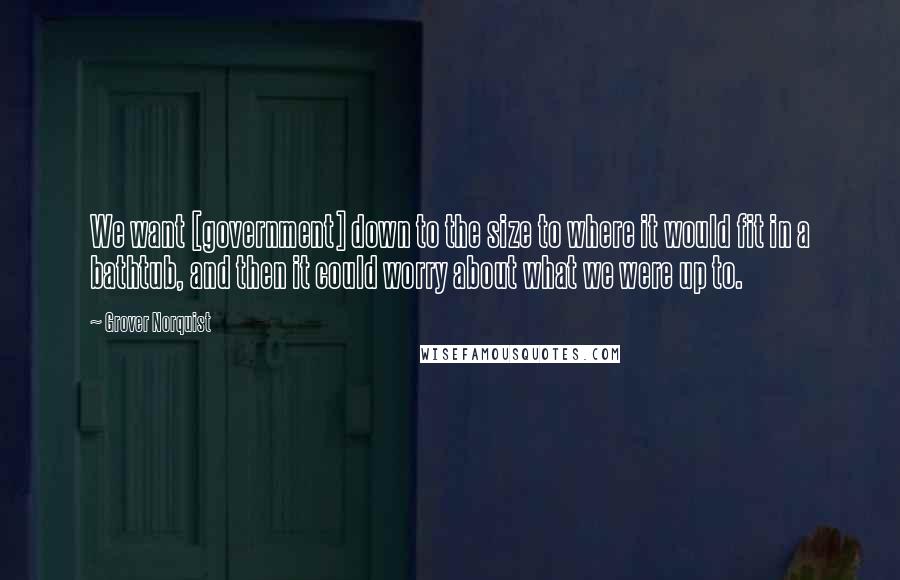 Grover Norquist Quotes: We want [government] down to the size to where it would fit in a bathtub, and then it could worry about what we were up to.