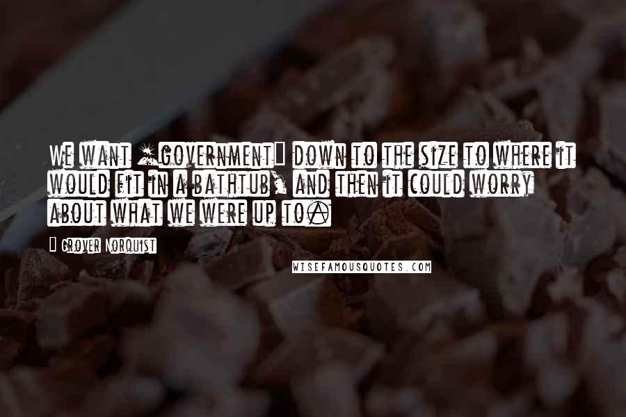 Grover Norquist Quotes: We want [government] down to the size to where it would fit in a bathtub, and then it could worry about what we were up to.