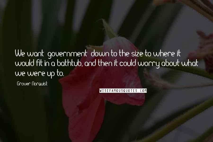 Grover Norquist Quotes: We want [government] down to the size to where it would fit in a bathtub, and then it could worry about what we were up to.