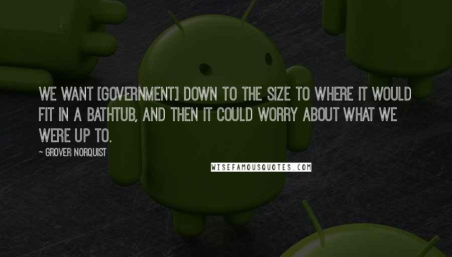 Grover Norquist Quotes: We want [government] down to the size to where it would fit in a bathtub, and then it could worry about what we were up to.