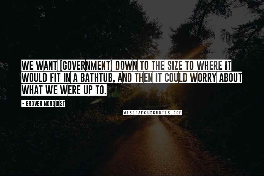 Grover Norquist Quotes: We want [government] down to the size to where it would fit in a bathtub, and then it could worry about what we were up to.