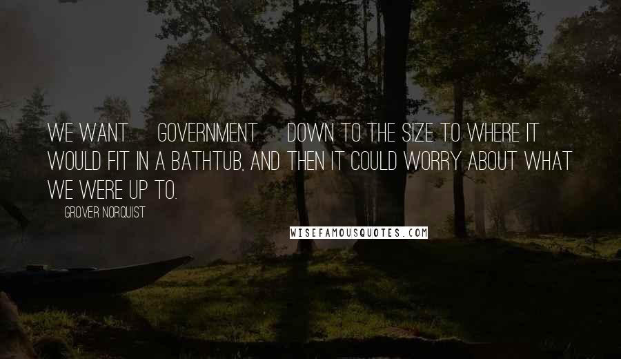 Grover Norquist Quotes: We want [government] down to the size to where it would fit in a bathtub, and then it could worry about what we were up to.