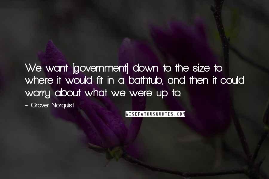 Grover Norquist Quotes: We want [government] down to the size to where it would fit in a bathtub, and then it could worry about what we were up to.