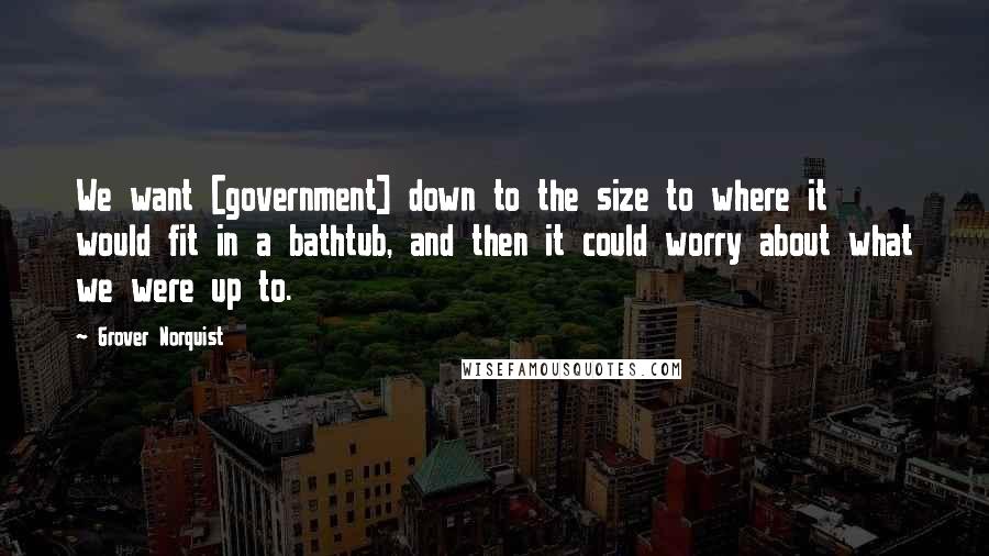 Grover Norquist Quotes: We want [government] down to the size to where it would fit in a bathtub, and then it could worry about what we were up to.