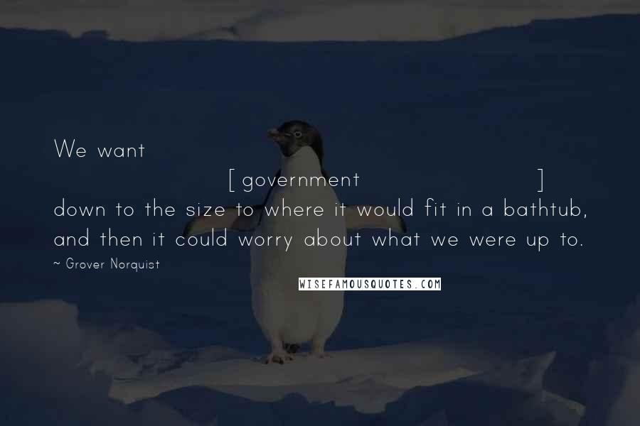 Grover Norquist Quotes: We want [government] down to the size to where it would fit in a bathtub, and then it could worry about what we were up to.