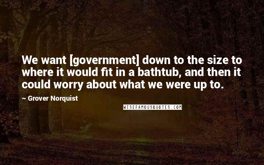 Grover Norquist Quotes: We want [government] down to the size to where it would fit in a bathtub, and then it could worry about what we were up to.