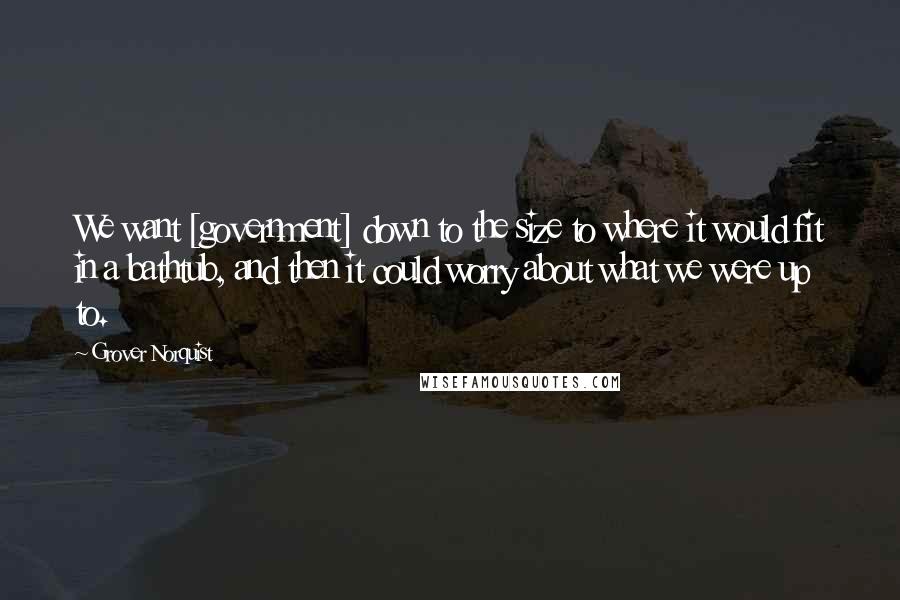 Grover Norquist Quotes: We want [government] down to the size to where it would fit in a bathtub, and then it could worry about what we were up to.