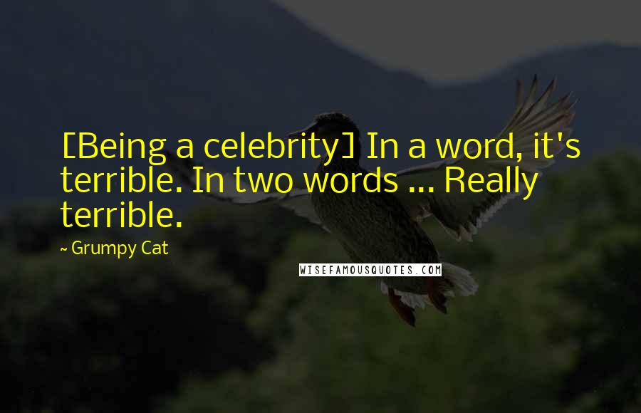 Grumpy Cat Quotes: [Being a celebrity] In a word, it's terrible. In two words ... Really terrible.