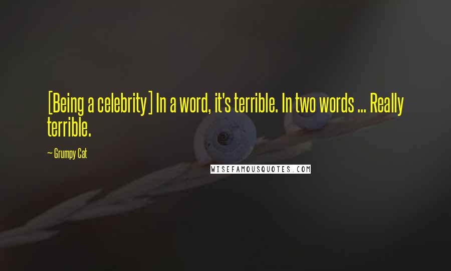 Grumpy Cat Quotes: [Being a celebrity] In a word, it's terrible. In two words ... Really terrible.