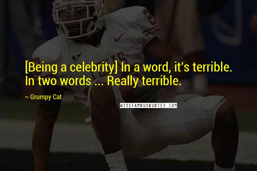 Grumpy Cat Quotes: [Being a celebrity] In a word, it's terrible. In two words ... Really terrible.