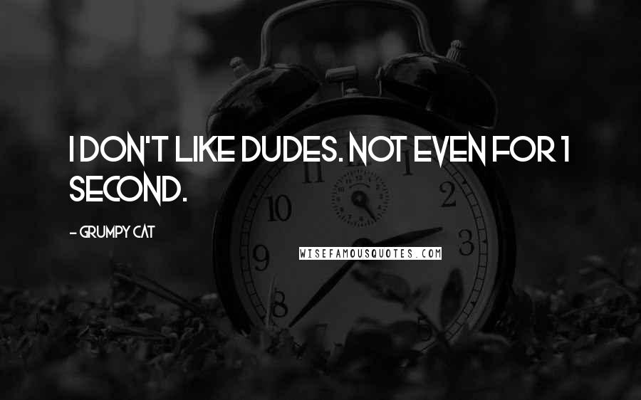 Grumpy Cat Quotes: I don't like dudes. Not even for 1 second.