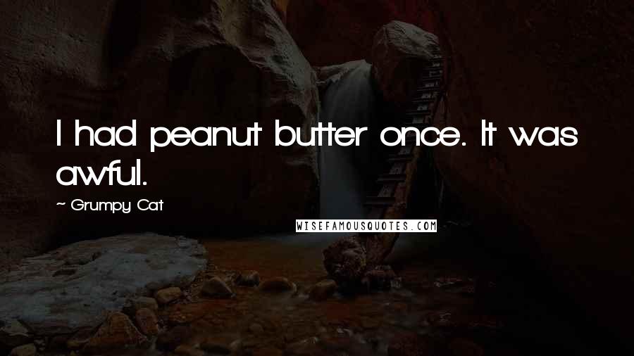 Grumpy Cat Quotes: I had peanut butter once. It was awful.