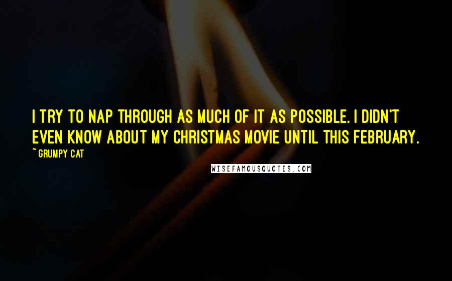 Grumpy Cat Quotes: I try to nap through as much of it as possible. I didn't even know about my Christmas movie until this February.