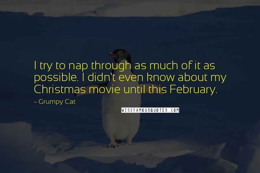 Grumpy Cat Quotes: I try to nap through as much of it as possible. I didn't even know about my Christmas movie until this February.