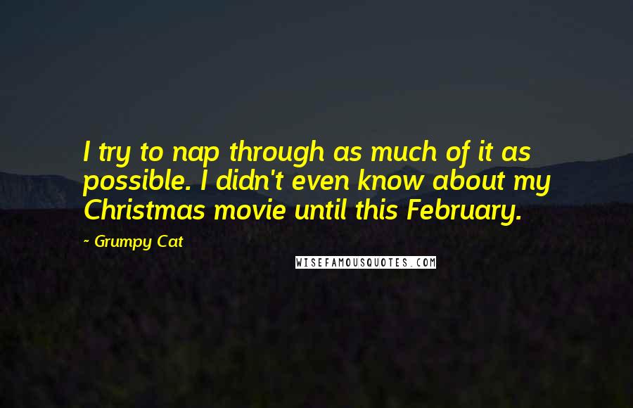 Grumpy Cat Quotes: I try to nap through as much of it as possible. I didn't even know about my Christmas movie until this February.