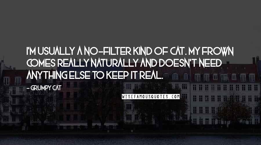 Grumpy Cat Quotes: I'm usually a no-filter kind of cat. My frown comes really naturally and doesn't need anything else to keep it real.