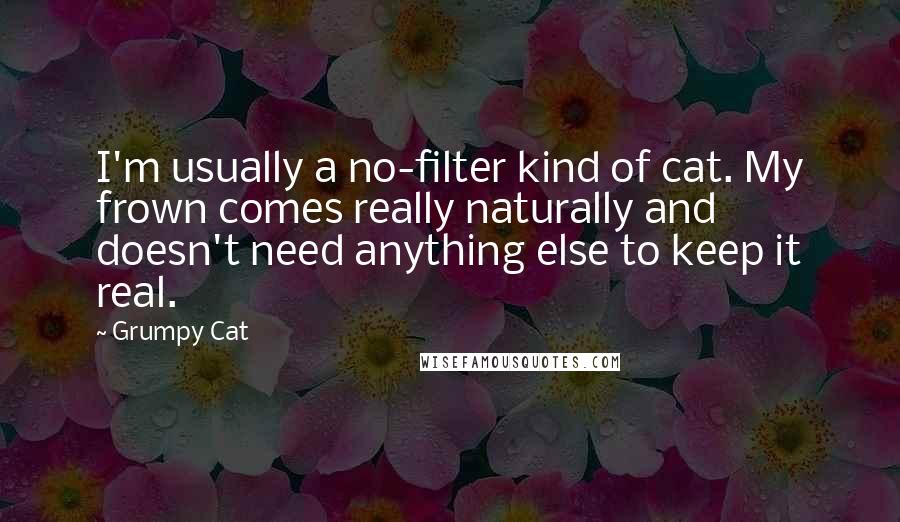 Grumpy Cat Quotes: I'm usually a no-filter kind of cat. My frown comes really naturally and doesn't need anything else to keep it real.