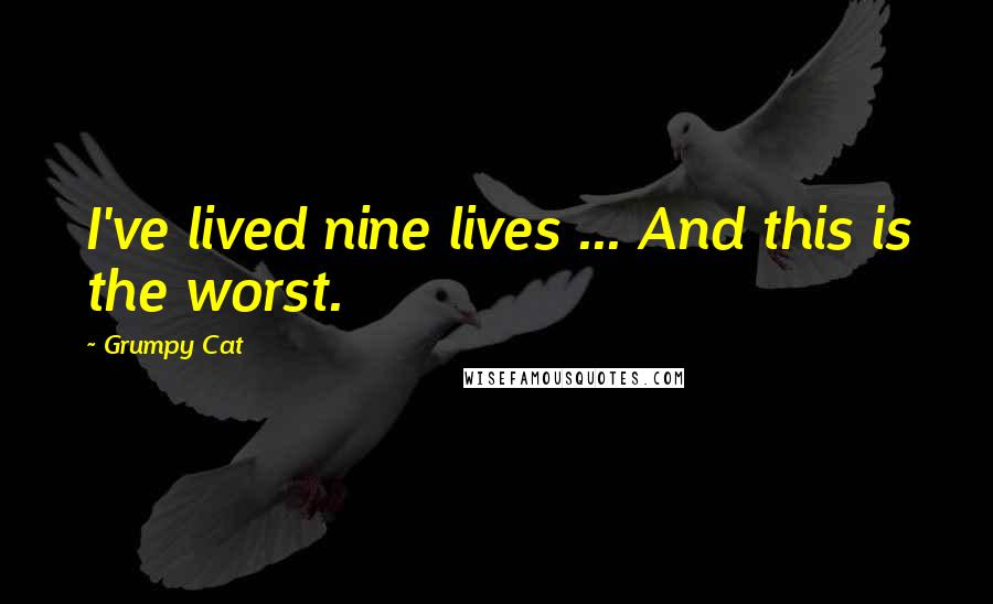 Grumpy Cat Quotes: I've lived nine lives ... And this is the worst.