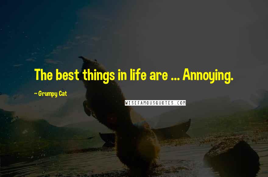 Grumpy Cat Quotes: The best things in life are ... Annoying.