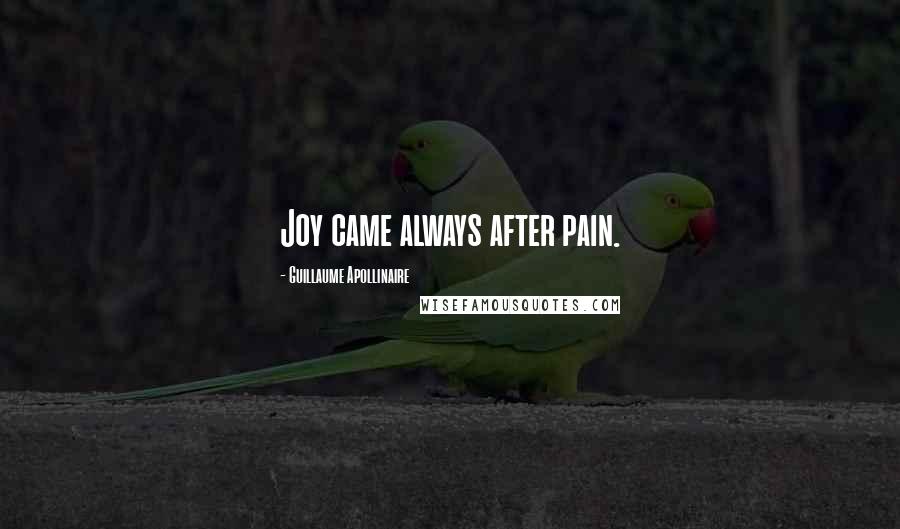 Guillaume Apollinaire Quotes: Joy came always after pain.
