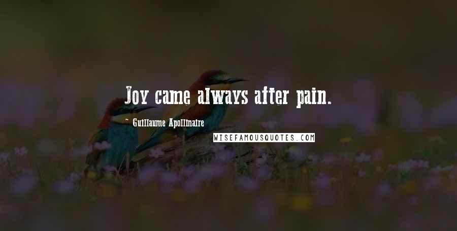 Guillaume Apollinaire Quotes: Joy came always after pain.