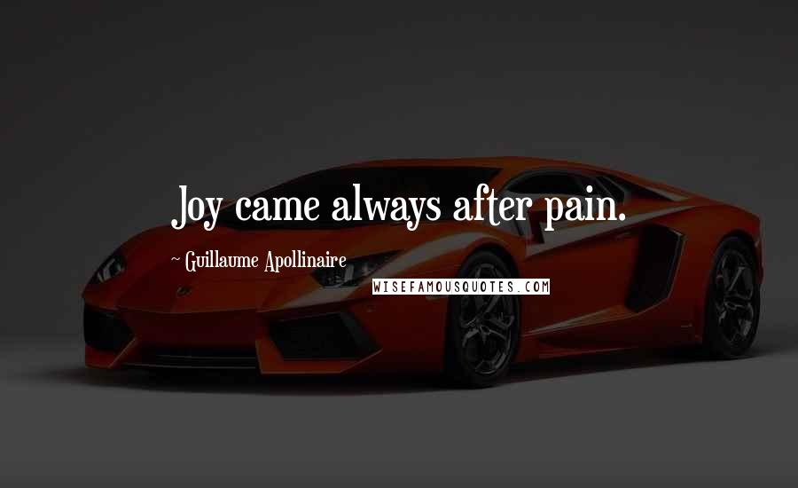 Guillaume Apollinaire Quotes: Joy came always after pain.