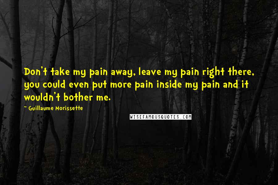 Guillaume Morissette Quotes: Don't take my pain away, leave my pain right there, you could even put more pain inside my pain and it wouldn't bother me.