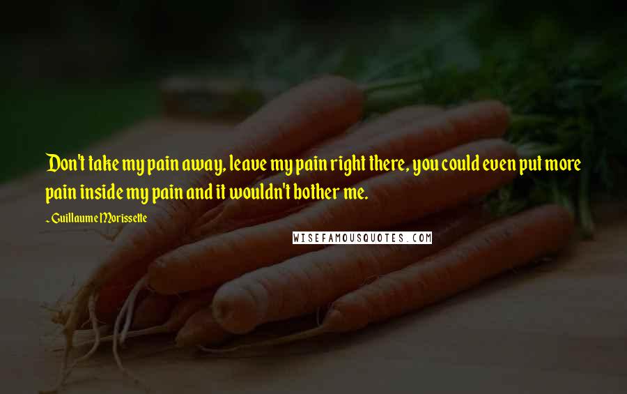 Guillaume Morissette Quotes: Don't take my pain away, leave my pain right there, you could even put more pain inside my pain and it wouldn't bother me.