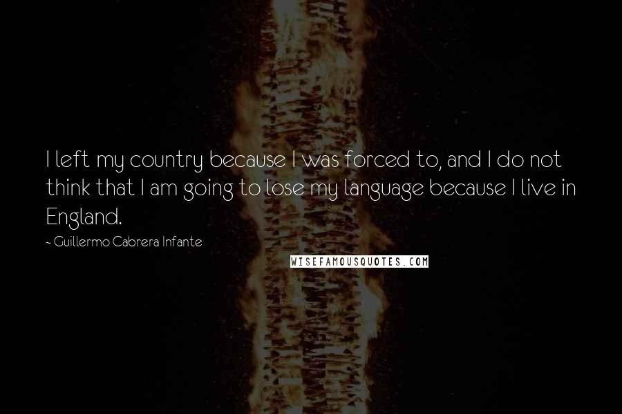 Guillermo Cabrera Infante Quotes: I left my country because I was forced to, and I do not think that I am going to lose my language because I live in England.