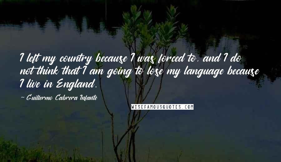 Guillermo Cabrera Infante Quotes: I left my country because I was forced to, and I do not think that I am going to lose my language because I live in England.