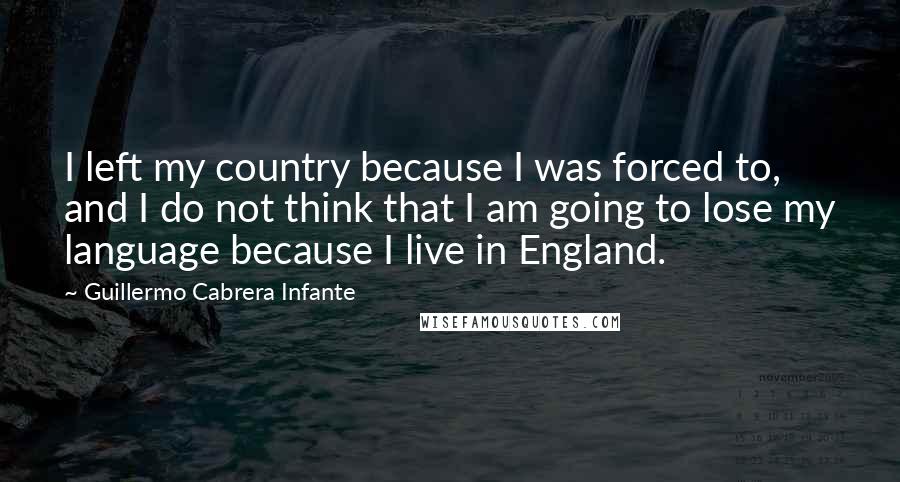 Guillermo Cabrera Infante Quotes: I left my country because I was forced to, and I do not think that I am going to lose my language because I live in England.