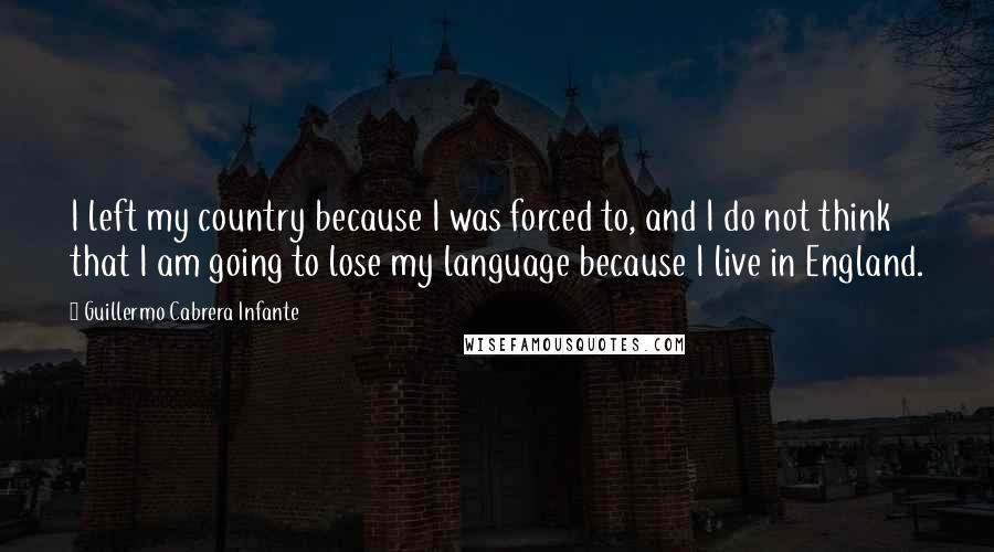 Guillermo Cabrera Infante Quotes: I left my country because I was forced to, and I do not think that I am going to lose my language because I live in England.