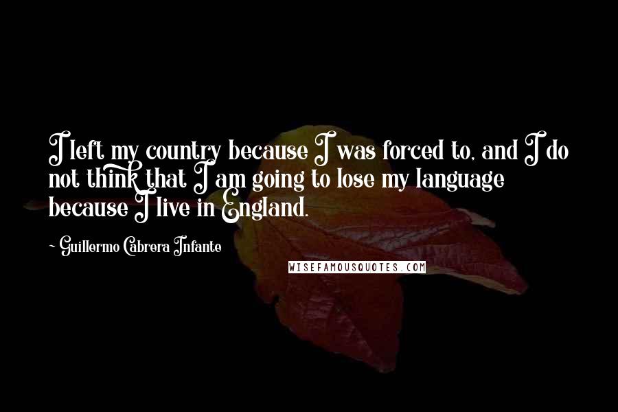 Guillermo Cabrera Infante Quotes: I left my country because I was forced to, and I do not think that I am going to lose my language because I live in England.