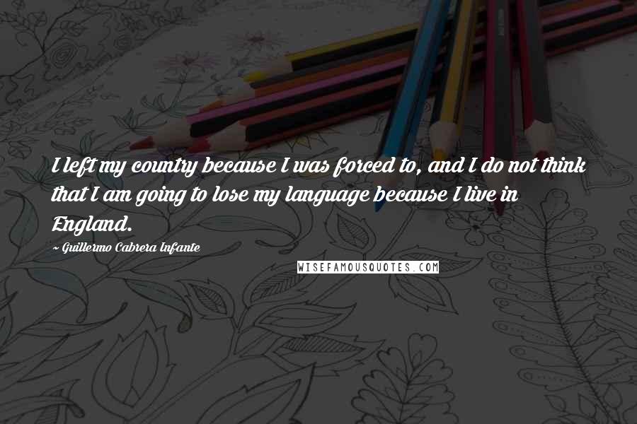 Guillermo Cabrera Infante Quotes: I left my country because I was forced to, and I do not think that I am going to lose my language because I live in England.