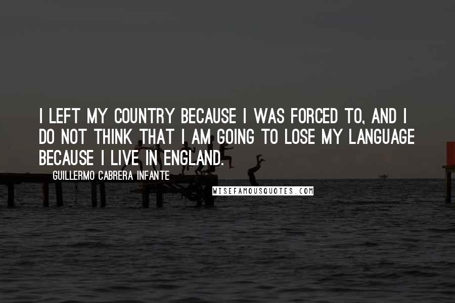 Guillermo Cabrera Infante Quotes: I left my country because I was forced to, and I do not think that I am going to lose my language because I live in England.