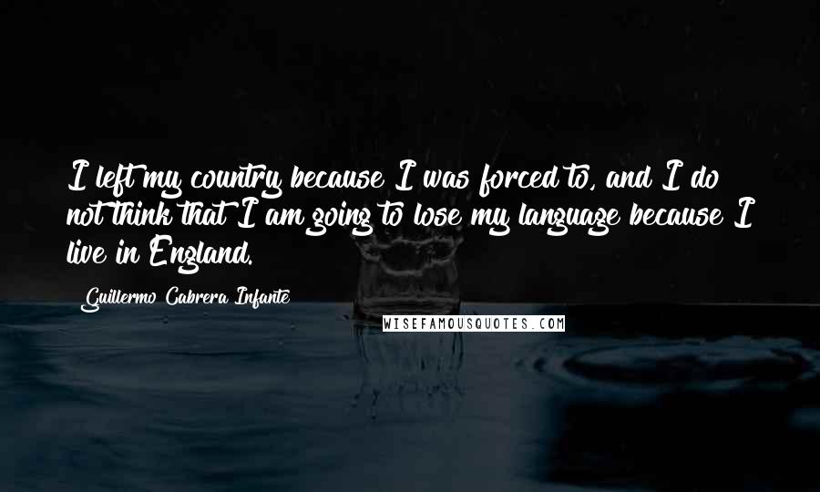 Guillermo Cabrera Infante Quotes: I left my country because I was forced to, and I do not think that I am going to lose my language because I live in England.