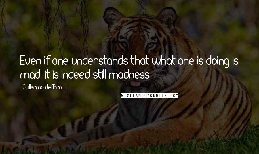 Guillermo Del Toro Quotes: Even if one understands that what one is doing is mad, it is indeed still madness -