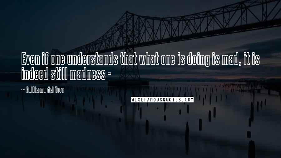 Guillermo Del Toro Quotes: Even if one understands that what one is doing is mad, it is indeed still madness -