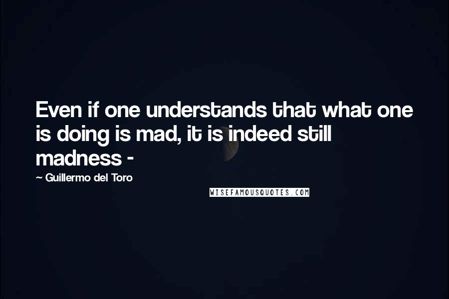 Guillermo Del Toro Quotes: Even if one understands that what one is doing is mad, it is indeed still madness -