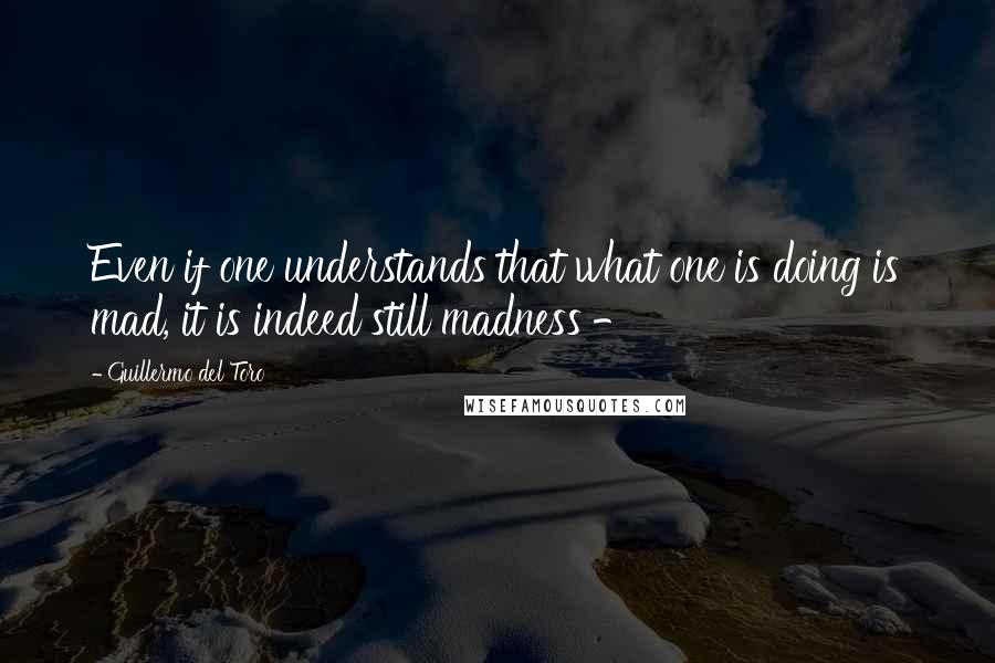 Guillermo Del Toro Quotes: Even if one understands that what one is doing is mad, it is indeed still madness -