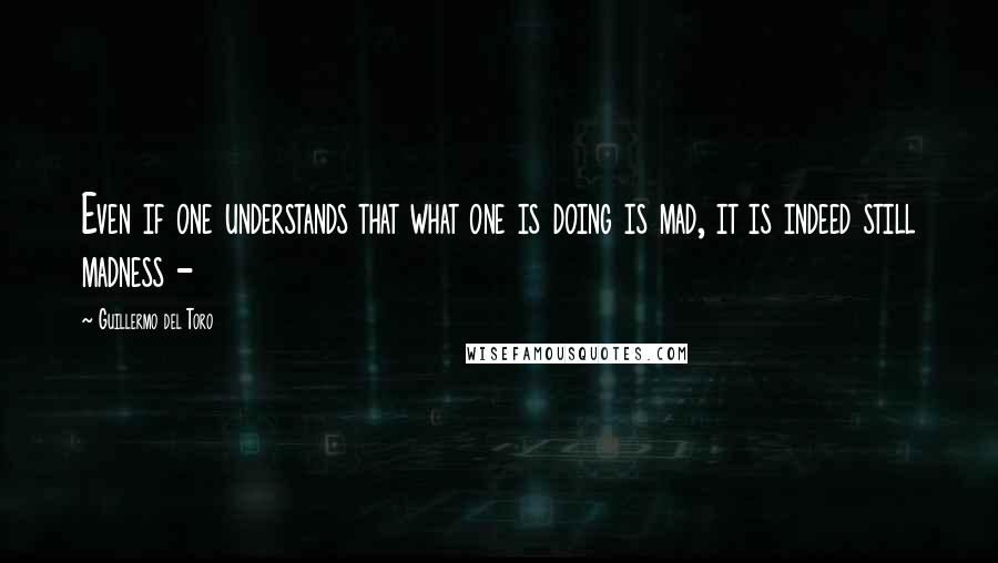 Guillermo Del Toro Quotes: Even if one understands that what one is doing is mad, it is indeed still madness -