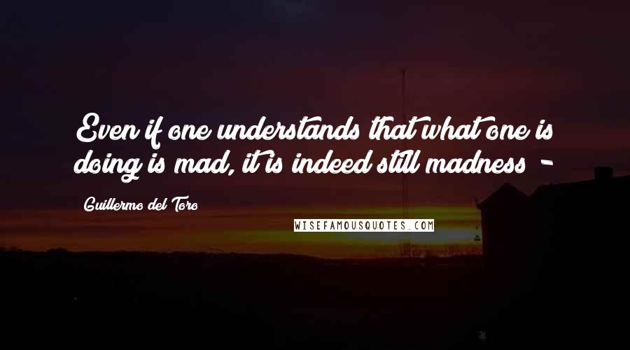 Guillermo Del Toro Quotes: Even if one understands that what one is doing is mad, it is indeed still madness -