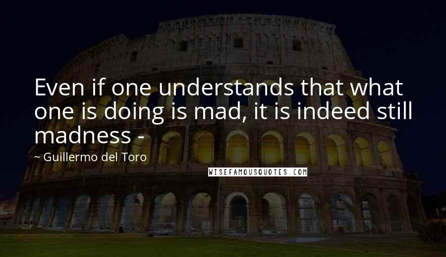 Guillermo Del Toro Quotes: Even if one understands that what one is doing is mad, it is indeed still madness -