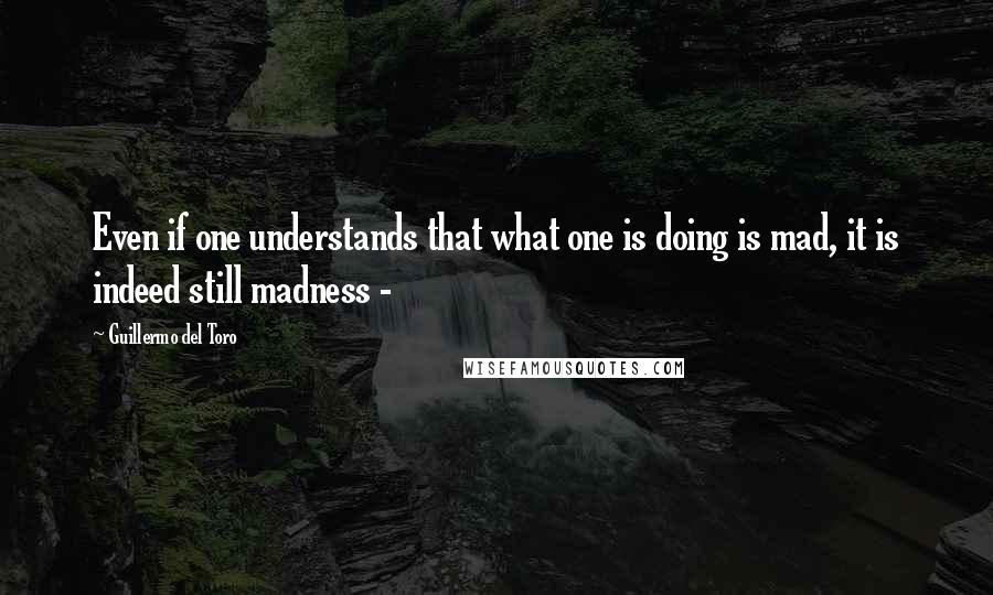 Guillermo Del Toro Quotes: Even if one understands that what one is doing is mad, it is indeed still madness -