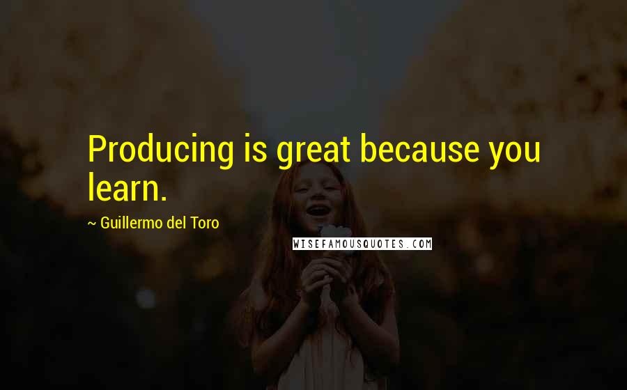 Guillermo Del Toro Quotes: Producing is great because you learn.
