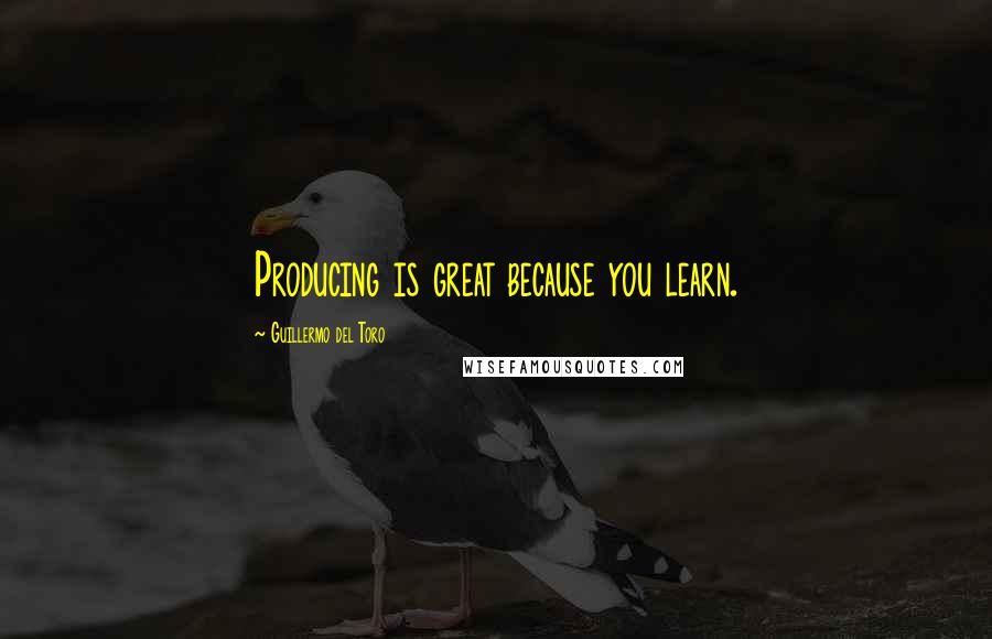 Guillermo Del Toro Quotes: Producing is great because you learn.