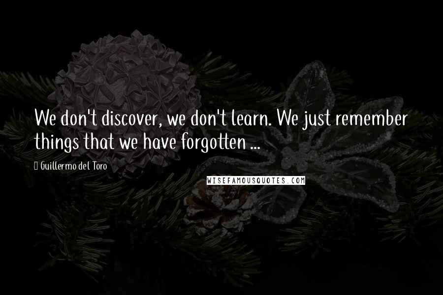 Guillermo Del Toro Quotes: We don't discover, we don't learn. We just remember things that we have forgotten ...